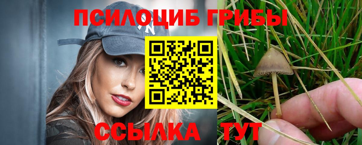 Псилоцибиновые грибы Cubensis Приморско-Ахтарск